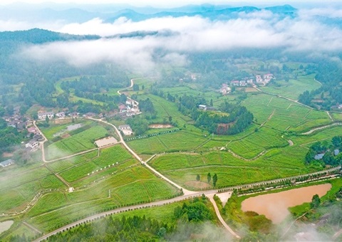 遂宁市守住耕地“命根子”  沃野千里织漂亮