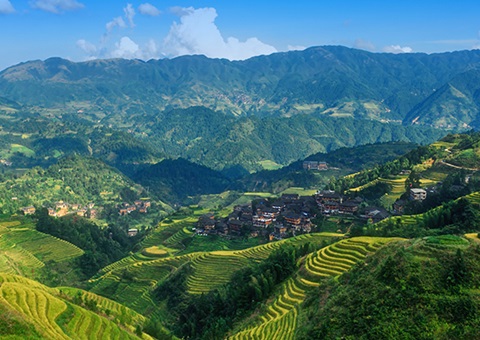 一次性200万元！ 广西在天下率先实验林权挂号财务资金激励