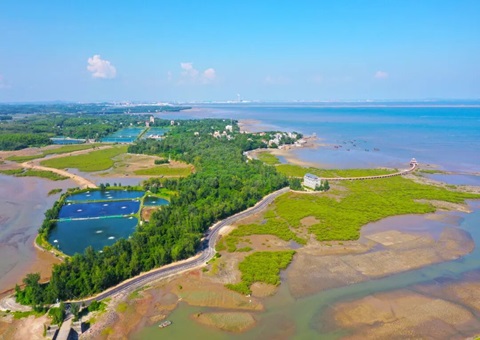 广西北部湾畔：：：墟落妄想引领古渔村“蝶变”