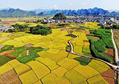 强化“指挥棒”作用  柳州市发放500万元耕地；；；ぁ凹だ彀