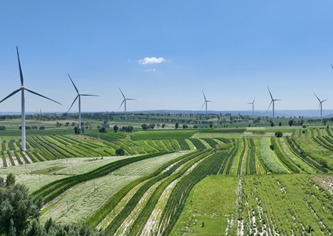 陕西省榆林市定边县：：领土空间妄想“一张图”实现营业“一站式”高效办理