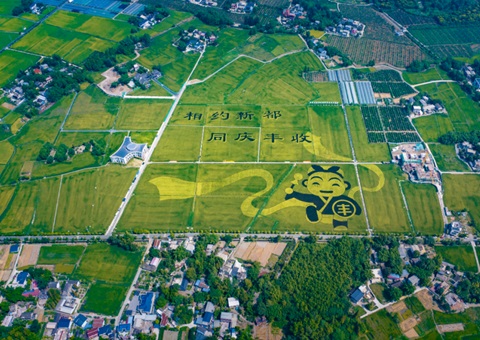 成都宣布耕地保；；ね！！未来10年这样筑牢“天府粮仓”基本