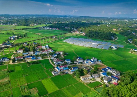 湖南：：靶向发力盘活存量土地资产<br>为206家机关企事业单位定制处理方案，，盘活土地2.6万亩