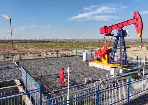 宁夏纵深推进新一轮找矿突破战略行动，实验一批煤层气、、、页岩气、、、煤炭等勘查项目