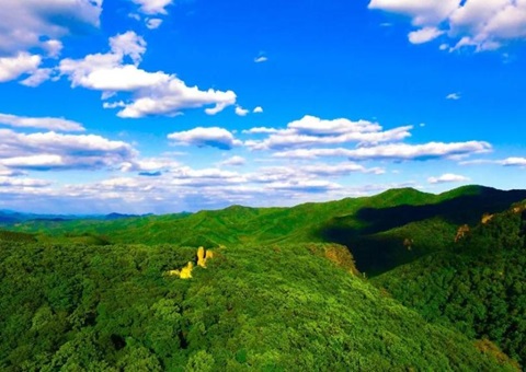 辽宁：：：林草领域获80亿元信贷支持