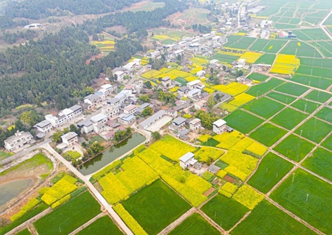 四川省委办公厅、、省政府办公厅印发《关于深化农村土地要素市场化刷新的意见》