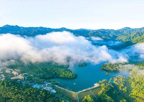 海南将重点生长5类森林康养基地