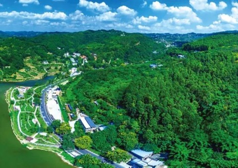 包管重大项目加速落地！！成都会构建用地用林联动审查机制