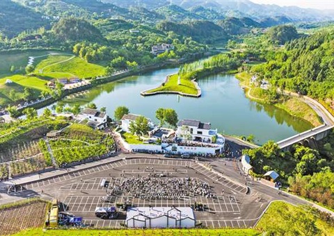 天下首次“文艺赋美墟落”交流活动在渝举行