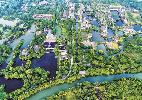 浙江首推共享林事服务中心破解林业生长难题