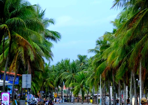 建“清凉都会”，海南有何“凉方”?