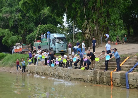 落实重大工程生态赔偿！79万尾鱼苗“安家”龙州左江湿地