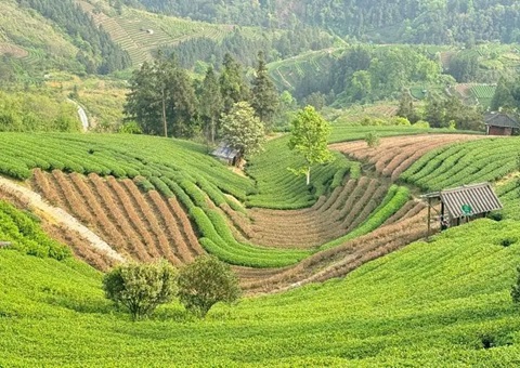 广西三江：下好墟落妄想“先手棋” 探索和美墟落“新样本”