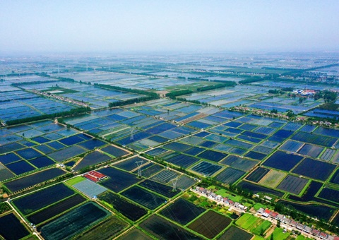 湖北潜江规范产权生意  滩田身价翻7倍