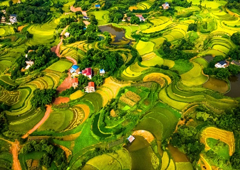 @农民朋侪 2025年重庆市耕地地力；そ蛱桨咐戳