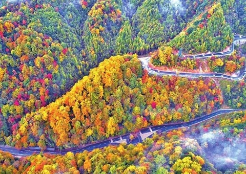 联合国教科文组织专家对巴中光雾山—诺水河天下地质公园开展再评估事情