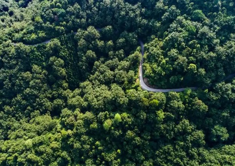 湖南省首例！！靖州“国有建设用地+VEP”自然资源资产组合项目实现生意