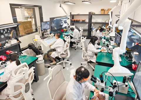 解锁远古“生命档案”！！！广西首家专业古生物化石修复判断室亮相