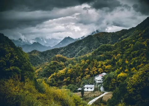 重庆“国储林+”推动绿色转型惠民生