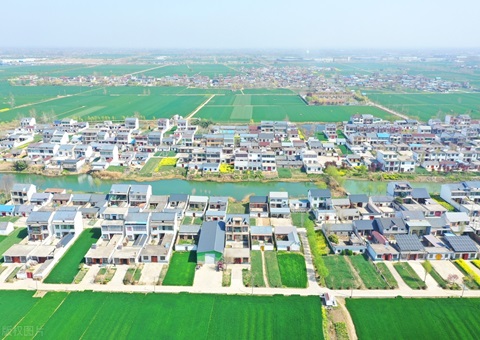 江苏深化整体林改探索“两山”转化新路径