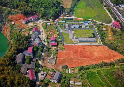 株洲：：“三链联动”推动耕地耕作层剥离再使用